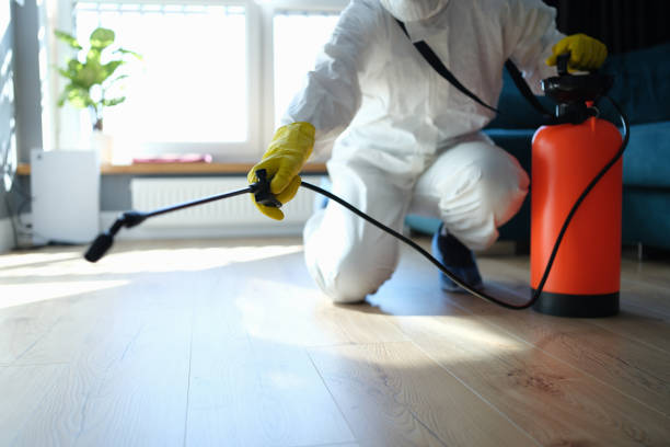 Trusted Trauma Scene Cleanup service in Ideal, GA - Four Month Blood Cleanse